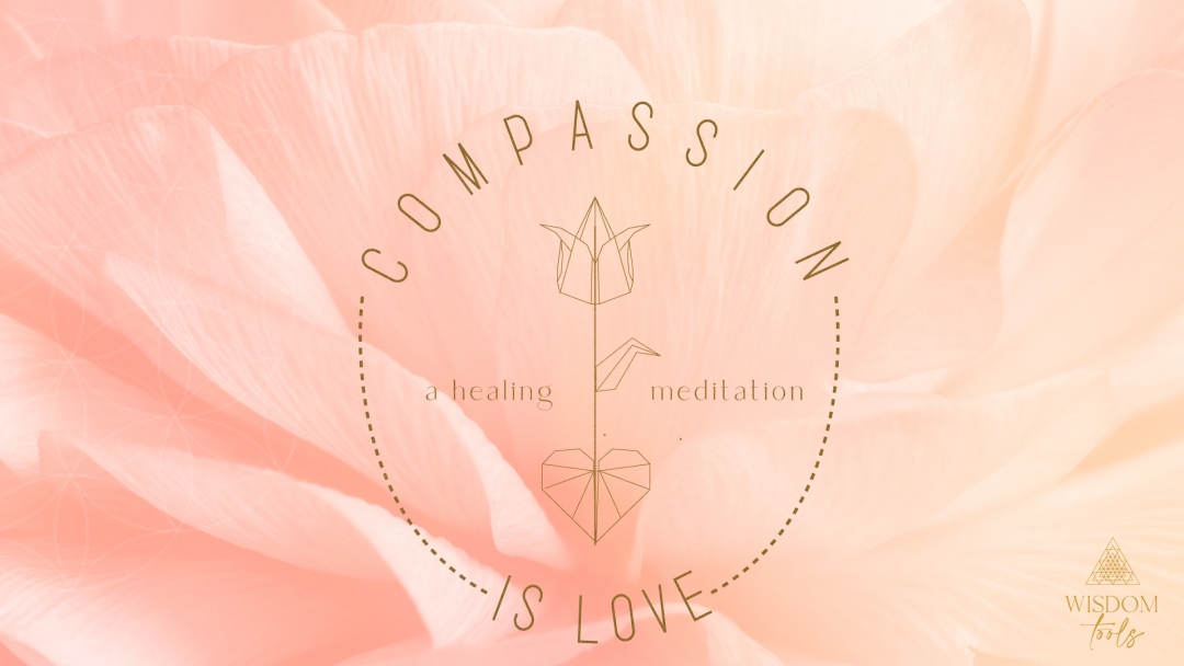 compassion is love