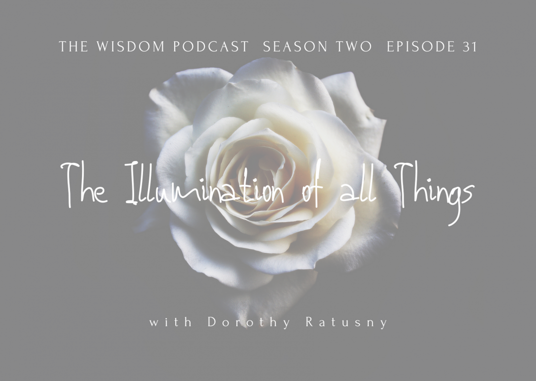 The Illumination of All Things: The WISDOM podcast S2 E31 - with dorothy ratusny (image of open white rose)