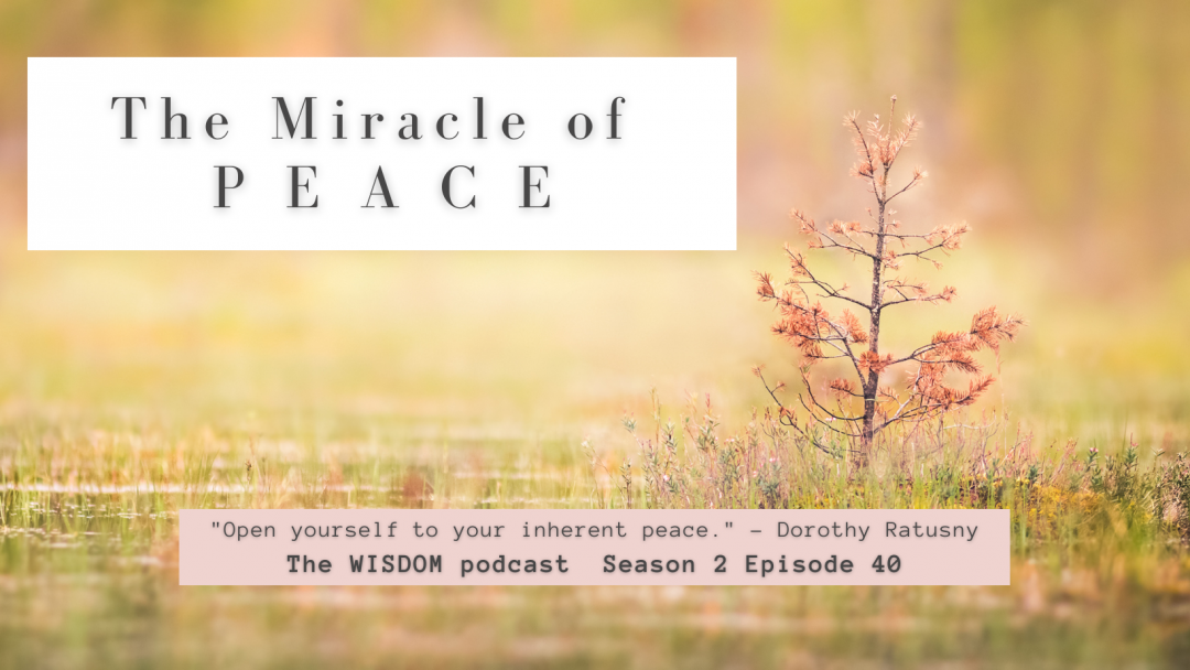 The Miracle of PEACE: The WISDOM podcast S2 E40 with dorothy ratusny 2021-01-24r (image of small tree with pink leaves growing)