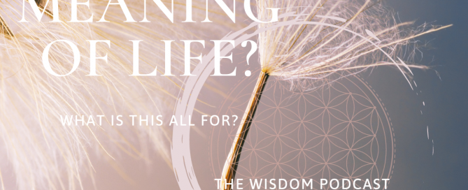 What is The Meaning of Life | The WISDOM podcast S2 E42 - with Dorothy Ratusny 2021-01-31 (enso art)