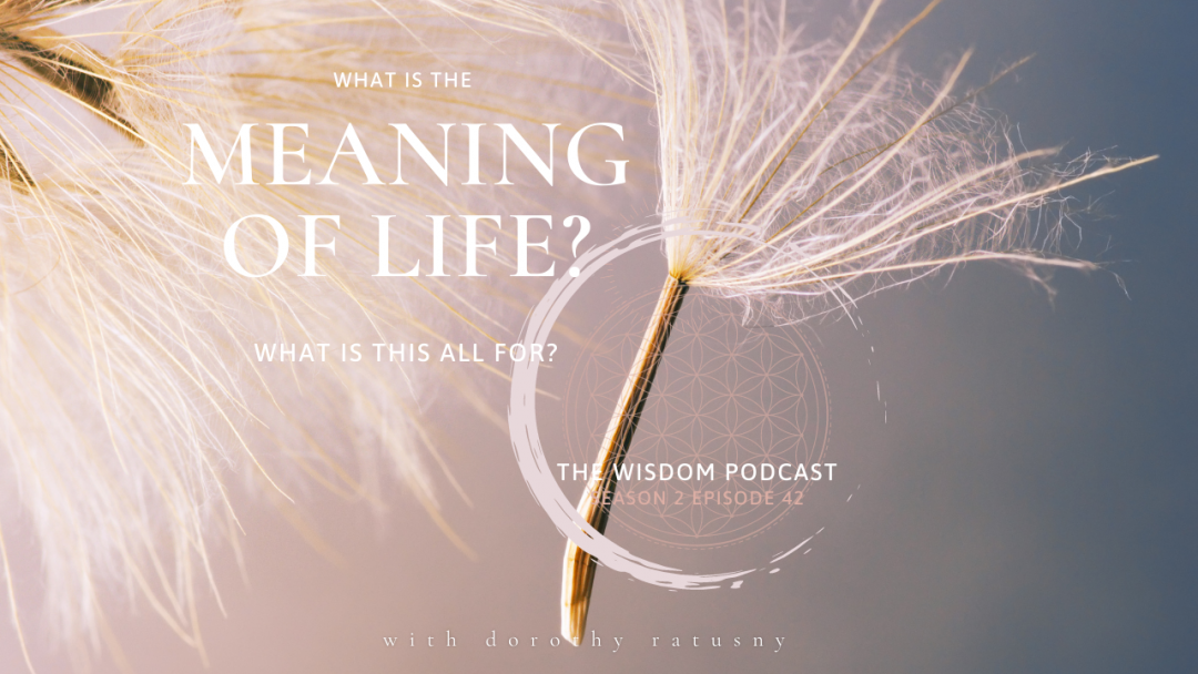 What is The Meaning of Life | The WISDOM podcast - S2 E42 - with Dorothy Ratusny 2021-01-31r (art and enso)