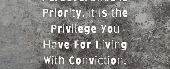 Perseverance is Priority. It is the Privilege You Have For Living With Conviction. @ dorothyratusny 2022-03-06 (image of words and flowers)