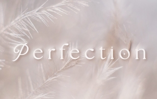 perfection ~ a wisdom note ~ 01.29.2023