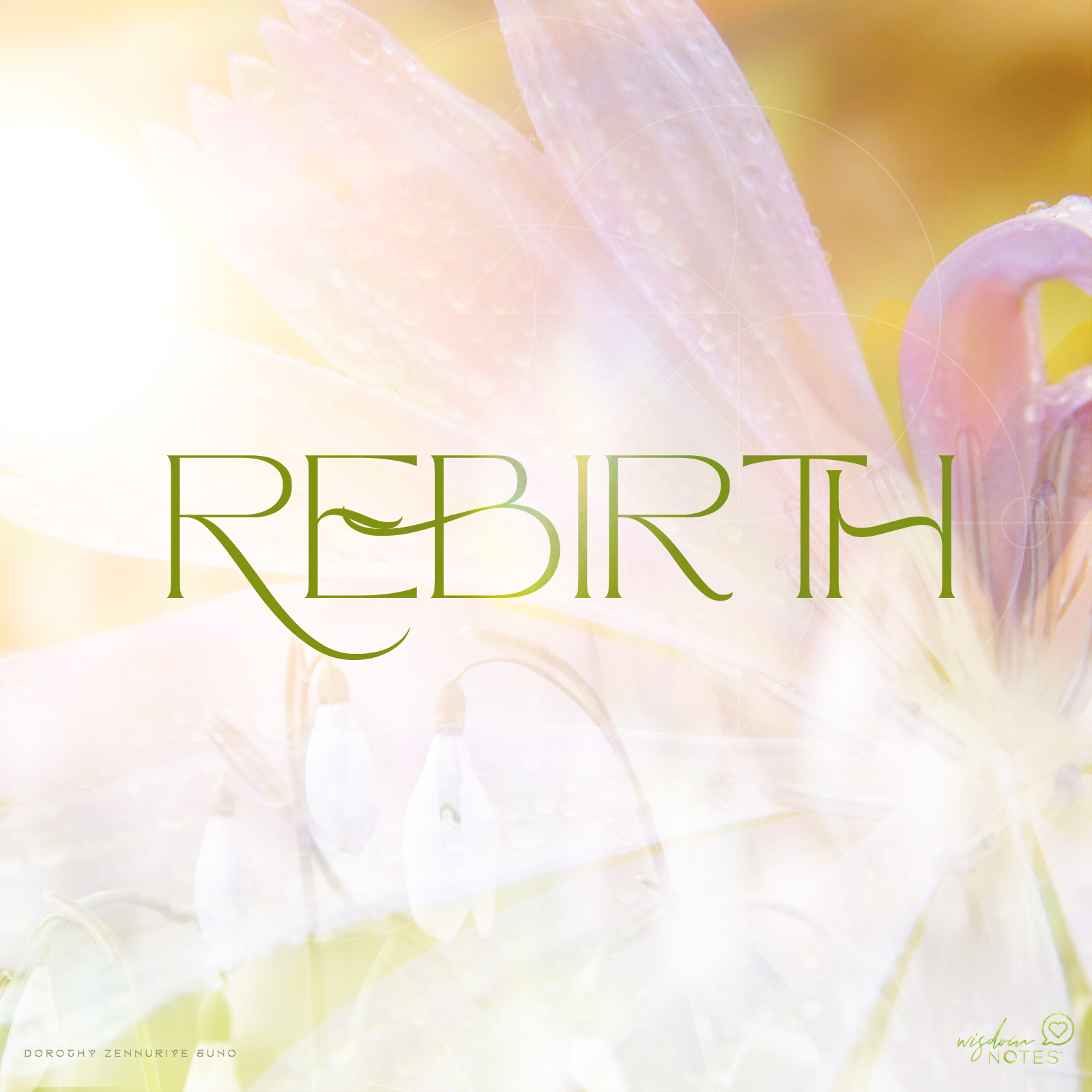 rebirth - A Wisdom Note - 04.23.23 with dorothy zennuriye juno (image of flowers)